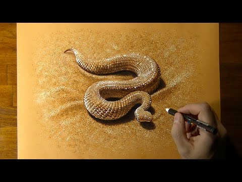 How to draw a Sand Viper 🐍 - Time Lapse (long version)