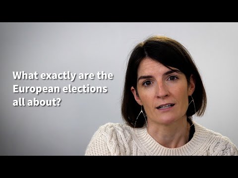 What exactly are the European elections all about?