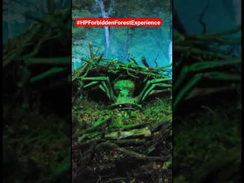 Harry Potter Forbidden Forest Experience - Aragog's Spider Army #shorts