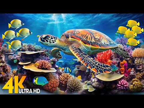 Under Red Sea 4K -Beautiful Coral Reef Fish in Aquarium, Sea Animals for Relaxation, 4K Video UHD #8