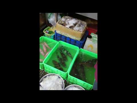 C36【4カンボジア進出調査記録2018】 TSUKIJI FISH MARKET Inc  by 市場系youtuber 疋田拓也～ព្រះរាជាណាចក្រកម្ពុជាPhnom Penh～