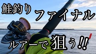 【サケ釣り】河口付近規制解除 プレミアサーモンをルアーで狙う！仕事終わって急いで海へ そして…2日分の釣行！！！