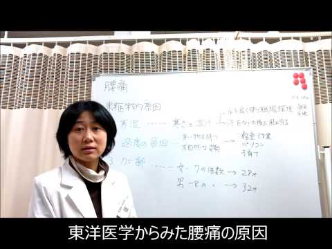 中野区野方・高円寺駅で腰痛の改善//【中野区・高円寺駅の鍼灸整骨院＆整体院】//東洋医学からみた腰痛1/13