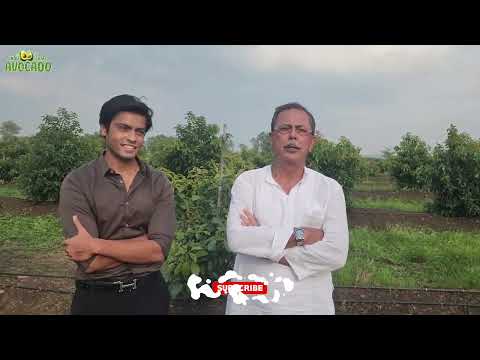 Mr. Ajay Singh, a renowned politician visited Indo Israel Avocado | Indo Israel Avocado | Vlog 151