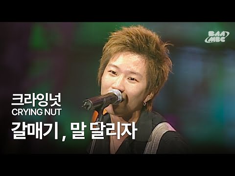 크라잉넛(Crying Nut) - 갈매기 , 말 달리자 🔥떠나고 싶다면 조선펑크 들어🔥@부산국제록페스티벌 2007