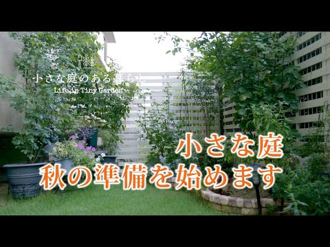 ガーデニング｜小さな庭の、秋の準備をします｜ 〜小さな庭のある暮らし#84 〜Gardening ｜ Life in a tiny garden