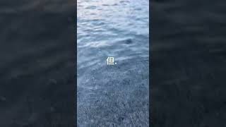 北海岸景點一日遊！來台灣一定要去一趟北部北海岸，貝殼沙灘、清澈海水