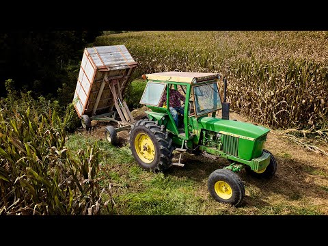 Filling Ditches | Rockslides In A Box - JCB Teleskid 3TS-8T