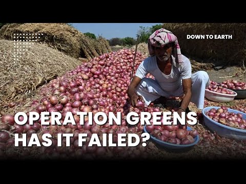 Why has the Government's Operation Greens scheme (Tomato Onion Potato TOP majorly) failed?