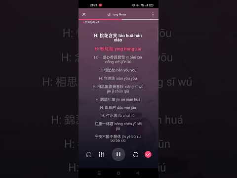 Hồng trần nhất bôi tửu - Ngụy Tân Vũ || 红尘一杯酒 [魏新雨] Karaoke Pinyin