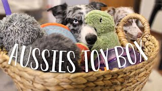 Australian Shepherd Shares her TOYBOX | Best Tough Chewing Toys + GIVEAWAY WINNERS