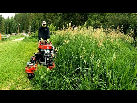 Helped My Wife's Friend MOW Her Overgrown GRASS That Was TALLER Than Me!