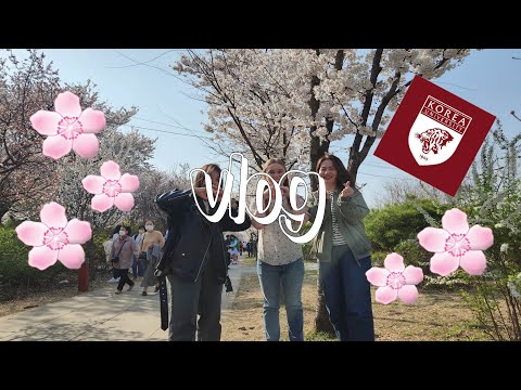 [VLOG] Korea University Students' Cherry Blossom Adventure at Yeouido 🌸고대 학생들의 벚꽃 구경~