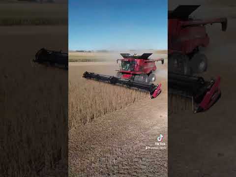 You better subscribe!!! #farm #fypシ゚viral #farming #fyp #johndeere #caseih