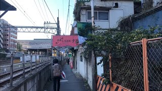 【小金井公園が最高でした】花小金井駅から小金井公園へ