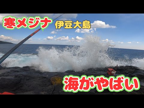 寒メジナを求めて伊豆大島へ行った。海がやばかったけどさすが離島と言える満足な釣果！