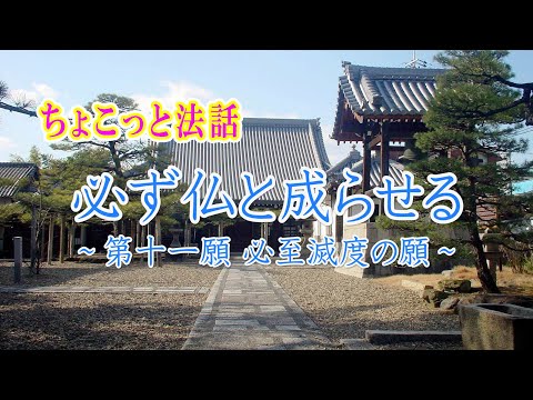 ちょこっと法話「必ず仏に成らせる～第十一願必至滅度の願～」