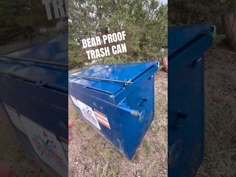 Today on the Homestead: Bear Proof Trash Can | Living with Wildlife in  Colorado Mountains #shorts