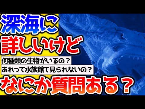 【2ch動物スレ】深海に詳しいイッチがなんJ民の質問に答えていくスレ→深海魚もたくさん出てくるよ！【なんj】 #生き物 #2ch