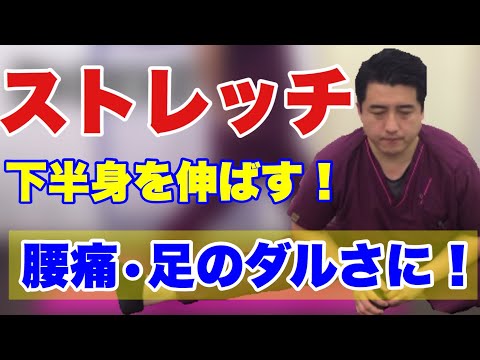 下半身のストレッチ！日々のケア用にどうぞ！一緒に伸ばしましょう！【YouTube健康教室（29）】