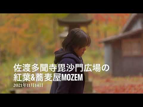 佐渡多聞寺毘沙門広場の紅葉&蕎麦屋MOZEM。14日、金井平清水の多聞寺を訪ねました。住職さんに会いました。毘沙門広場の紅葉は見頃です。お昼は蕎麦屋MOZEM月一回のネパールカレーを食べに行きました。