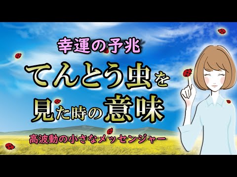 【高波動】色・斑点・発生数で意味が変わる｜小さな虫のメッセージ【幸運の予兆】