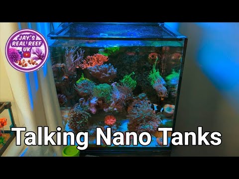 Nano Tanks With Jay's Real Reef UK | The Prestige Reef Dork Show Ep 24