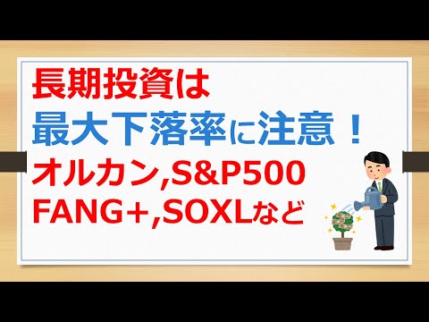 長期投資は最大下落率に注意！　オルカン、S&P500、NASDAQ100、FANG+、レバナス、SOXL比較【有村ポウの資産運用】241011