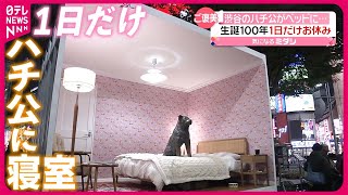 【忠犬ハチ公】ベッドの上に…  生誕100年祝い1日だけ“お休み”