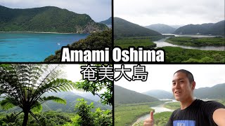 One of the most underrated Japan's tropical island (Amami Oshima-Japan), Natural World Heritage site