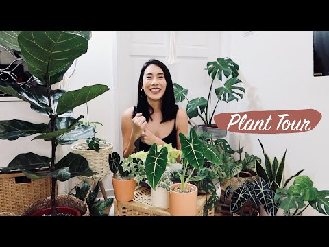 金家植栽點名🌱Plant Tour!