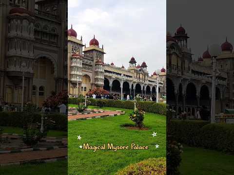 Magical Mysore Palace Tour #shorts #youtubeshorts #trending