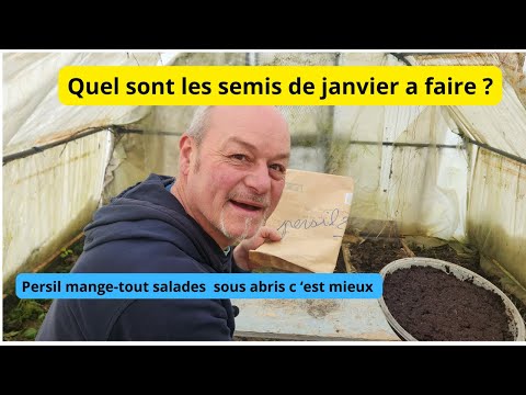 Comment semer du persil dès le mois de janvier ? Les autres semis que vous pouvez faire aussi !