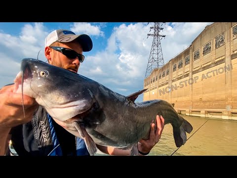 Last Minute Fishing Trip To The Dam Turns Into Wide Open Catfish Action!