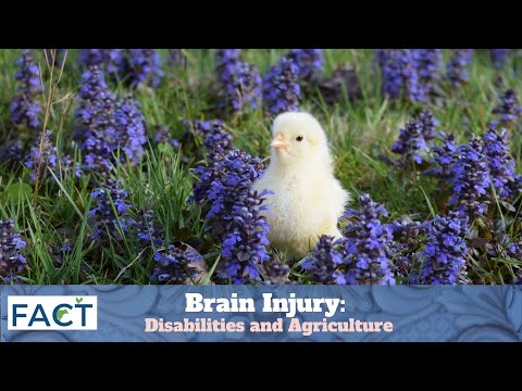 Brain Injury: Disabilities and Agriculture