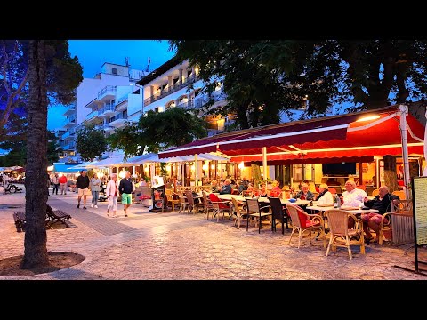 PUERTO POLLENSA Mallorca 🇪🇸 Evening and Nightlife