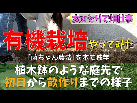 女ひとりで、有機栽培　菌ちゃん農法　庭先編｜はじめての土作り！「肥料いらない、耕さない」有機栽培の野菜を作る。糸状菌で育てる「菌ちゃん農法」土づくり（畝作り）やってみた。