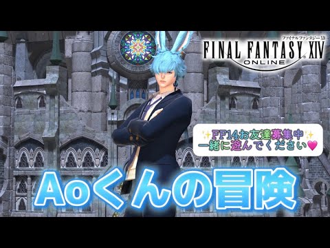 【FF14 蒼天のイシュガルド編】Aoくんの冒険#34 🌱Meteor/Beliasにて冒険中🌱※無言配信