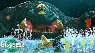 ゲーム史上最高傑作と名高い神ゲー『 ゼルダの伝説 ティアーズ オブ ザ キングダム 』#5