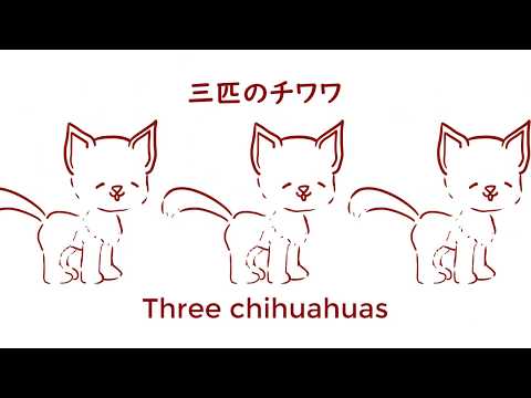 three chihuahuas