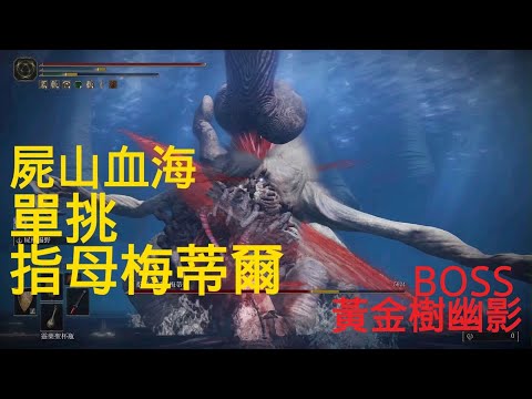 屍山血海單挑指母梅蒂爾-黃金樹幽影BOSS戰(艾爾登法環DLC)Metyr, Mother of Fingers SOLO FIGHT ELDEN RING DLC BOSS FIGHT