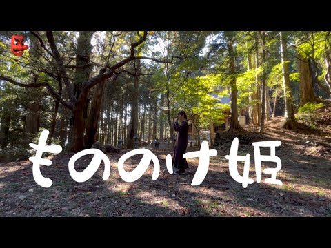 Ocarina『もののけ姫』秋葉神社上社で吹いてみた　#もののけ姫　#princess_mononoke #ジブリ　#オカリナ　#Ocarina