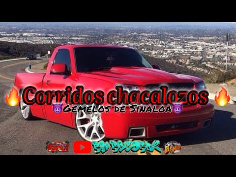 ❌GEMELOS DE SINALOA🍅corridos chacalozos🔊mix 2022 corridos chingones