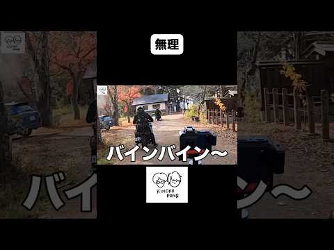 TikTokで運転が下手だと叩かれた動画#バイク #ハーレー #モトブログ #ツーリング #閃光のハサウェイ