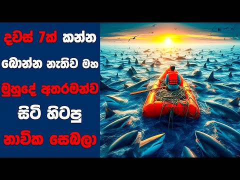 “All is Lost" සිංහල Movie Review | Ending Explained Sinhala | Sinhala Movie Review