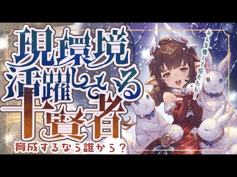 現状活躍頻度が高い十賢者について【グラブル】【グランブルーファンタジー】