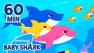 Baby Shark Doo Doo Doo 60 Min | +Compilation | Baby Shark Remix | Baby Shark Official