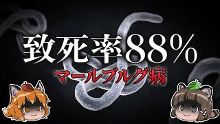 【マールブルグ病】致死率88％のウイルス｜日本上陸の可能性は？危険性や感染経路を解説