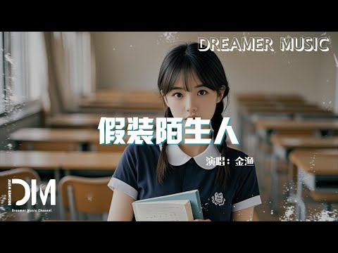 假裝陌生人 - 金漁『妳目光裝下宇宙 偏忽略我在淚流，激不起浪花的我 像沈在憂郁港口』【動態歌詞】