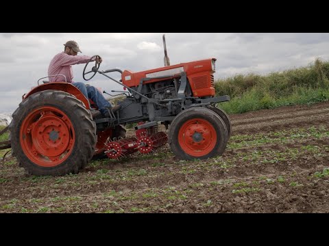 Manage Weeds on Your Farm: Basket Weeders at Terra Preta Farm